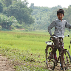D.B.: Bicycles