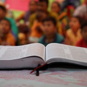 D.B.: Study Bible